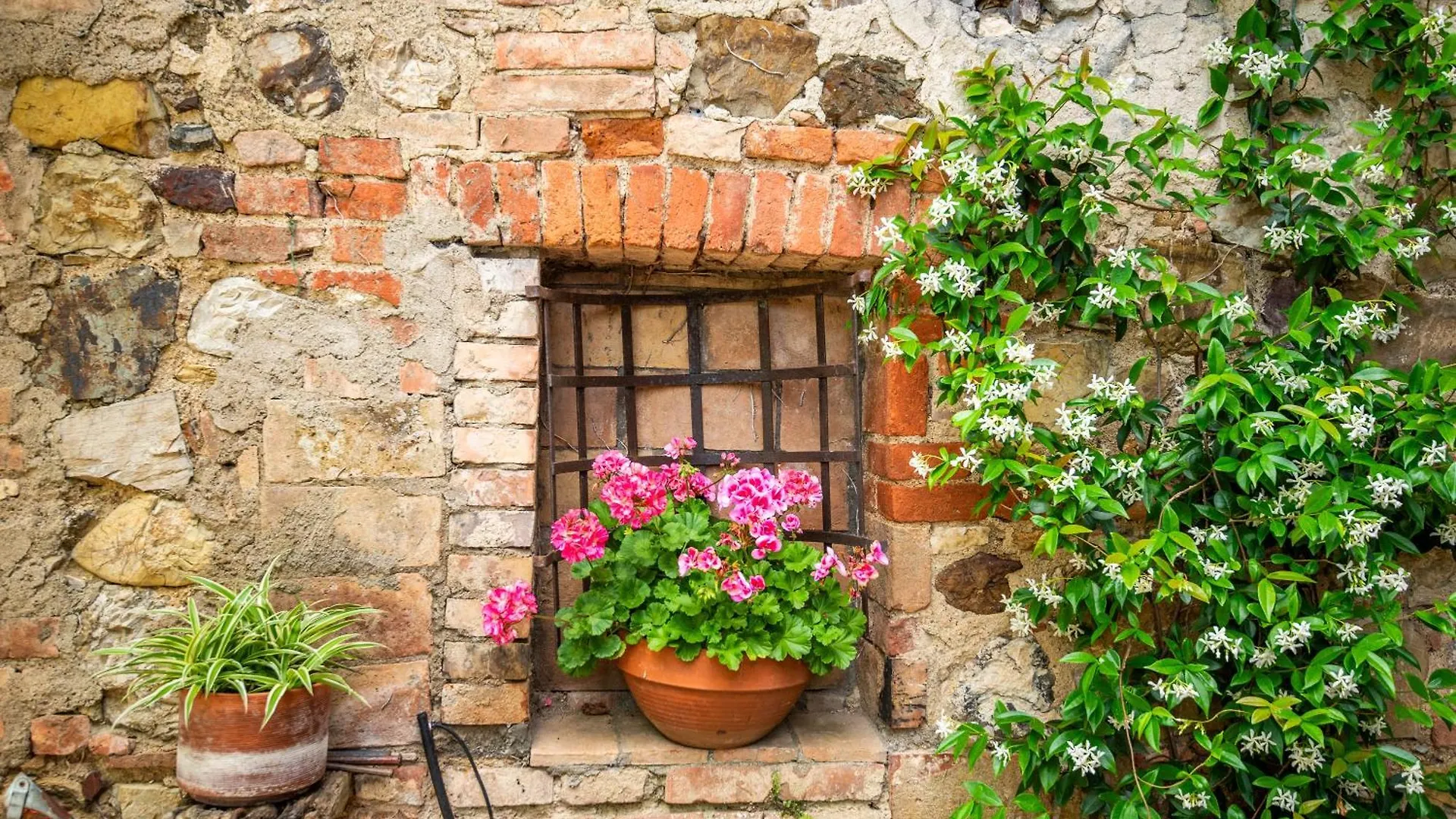 Casa Gialla A Murlo Apartment